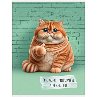 Тетрадь А4  48л клетка "Спокоен. Доволен. Прекрасен." Т4485241 Listoff