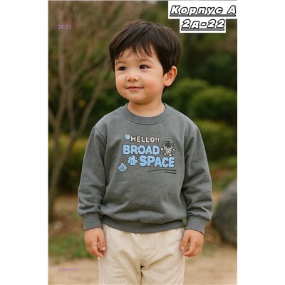 кофта 2056462-4