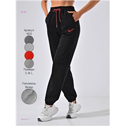 Штаны 1984257-4