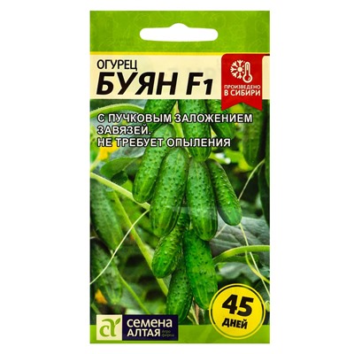 Семена огурца "Буян", 5 шт.