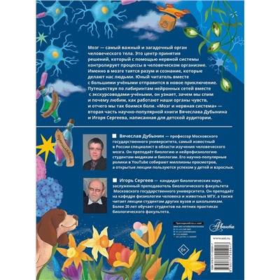 АСТ Дубынин В.А., Сергеев И.Ю. "Мозг и нервная система"