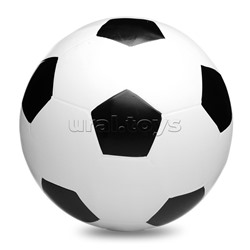 Мяч Спортивный (в ассотрименте) d-200