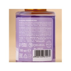 Новогодний подарочный набор косметики «Мечтай»: гель для душа 2×100 мл и мочалка для тела, URAL LAB