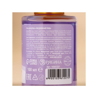 Новогодний подарочный набор косметики «Мечтай»: гель для душа 2×100 мл и мочалка для тела, URAL LAB