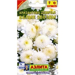 Хризантема девичья Белые звезды (Аэлита)