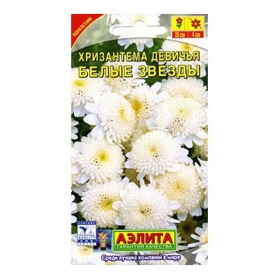 Хризантема девичья Белые звезды (Аэлита)