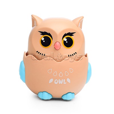 Заводная игрушка "Сова" в коробке