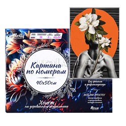 Картина по номерам 40х50 "Непреодолимая загадка" 15 цветов