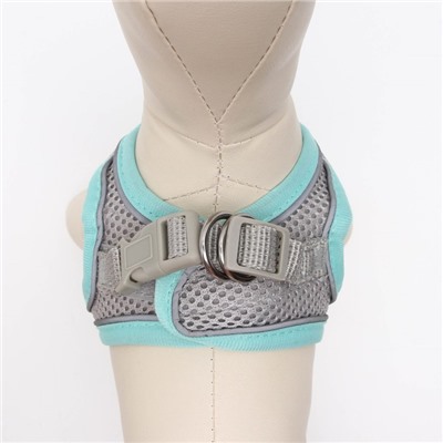 Комплект с мягкой шлейкой быстросъемный, XXS поводок 150×1.5 см, ОШ 24-26 ОГ 28-30 см, бирюзовый