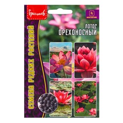 Семена цветов Лотос Орехоносный  2 шт.  12.29 г.