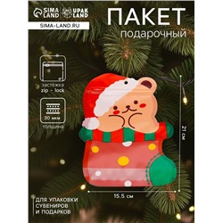 Пакет подарочный новогодний, фигурный «Мишка с колпаком», с zip - lock застежкой, 21×15.5 см