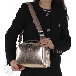 Сумка женская  8304-2CD gold Alex&Mia/30 в Новосибирске