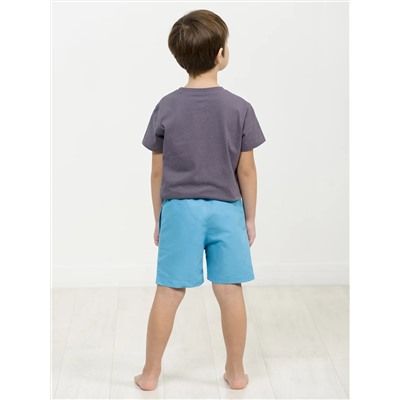 PELICAN Шорты BWHE3265