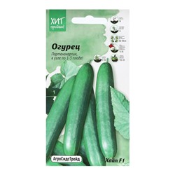 Семена Огурец "Хайп", 5 шт