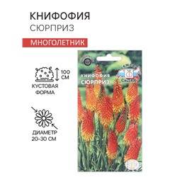 Семена цветов книфофия «Сюрприз», Евро, 0.2 г