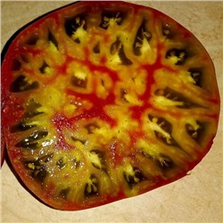 7004T Томат Алмаатинский триколор 10шт