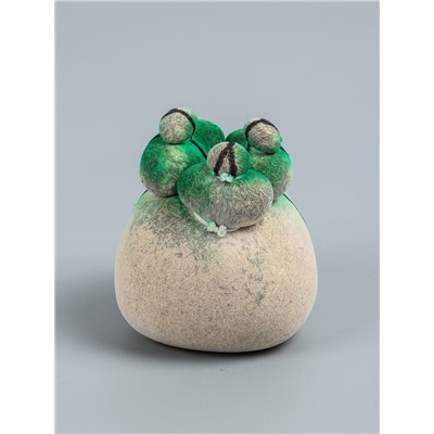 УЦЕНКА Набор для выращивания «ЭкоЖивчик. Кактус», фигурка растущая