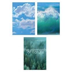 Тетрадь А4  96л линия "Элементы природы" глянц.лам (093582) Хатбер