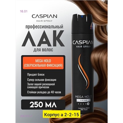 Лак-клей для волос 2051573-2