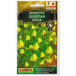 Дицентра Золотая лоза (Код: 73699)