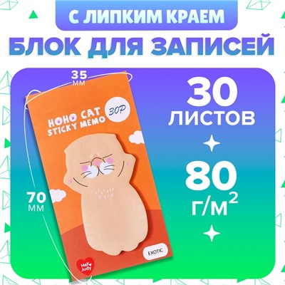 Блок для записей 35×70 мм, 30 листов «Рыжий котик»