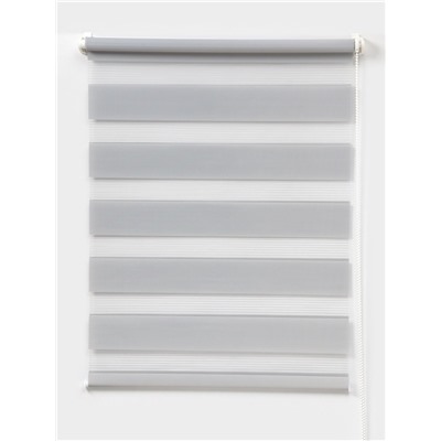 Штора рулонная 60×160 см «День и Ночь», по полотну 56×160 см, цвет стальной