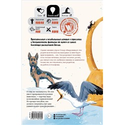 АСТ Дэвис Бенджи, Адам Барон "Оскар и Лев"