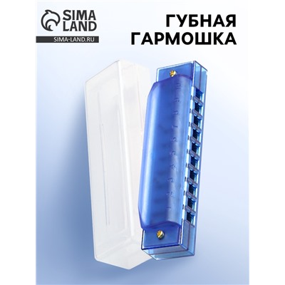 Губная гармошка Music Life, диатоническая, 10 отверстий, c-major, с футляром, синяя