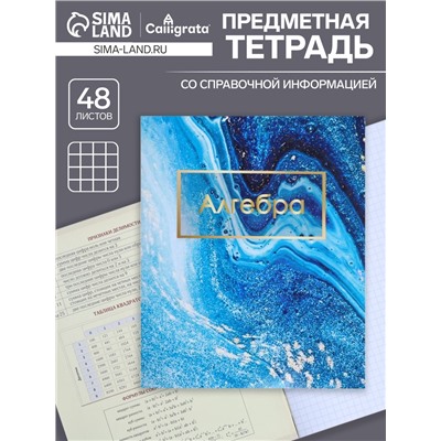 Тетрадь предметная, 48 листов в клетку, Calligrata, «Мрамор светлый. Алгебра»