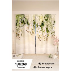 Фотошторы 10838 (Белый)