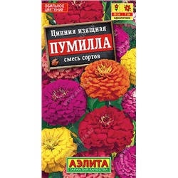 1954A Цинния Пумилла, смесь сортов 0,3 г