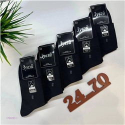 Носки мужские 10 пар 1755237-1