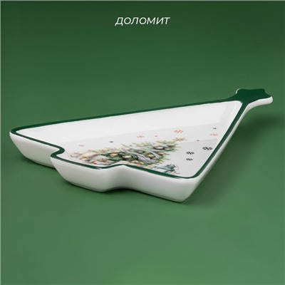 УЦЕНКА Блюдо для сервировки «Приближение чуда», 26×20×3 см