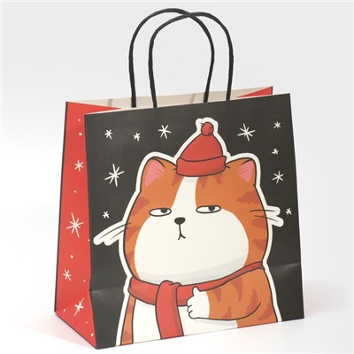 Пакет подарочный новогодний «Счастье», 22×22×11 см