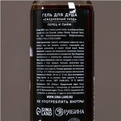 Подарочный набор новогодний мужской «Богатства и успеха», гель для душа 100 мл и мочалка для тела, Чистое счастье