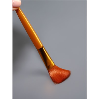 Набор кистей для макияжа, 6 предметов, цвет золотистый