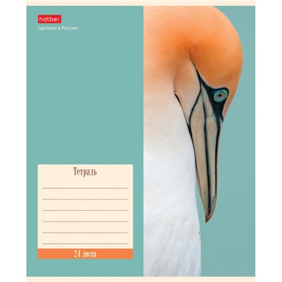 Тетрадь  24л клетка "Природа" (074942) Хатбер