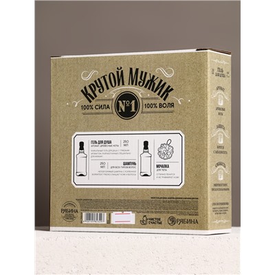 Подарочный набор «Крутой мужик», гель для душа, шампунь для волос и мочалка, 2×250