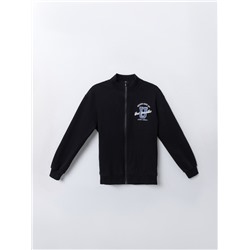 ТОЛСТОВКА ДЛЯ МАЛЬЧИКОВ 123448