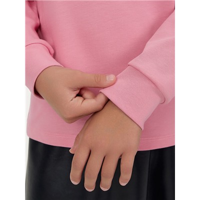 ЛОНГСЛИВ ДЛЯ ДЕВОЧЕК 127908/1