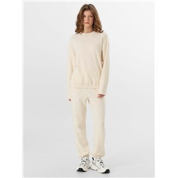 КОМПЛЕКТ ЖЕНСКИЙ (СВИТШОТ, ДЖОГГЕРЫ) 192017