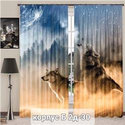 Портьеры с принтом, 3*2,6 см (без тюля)