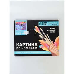 УЦЕНКА Картина по номерам на холсте с подрамником "Девушка с шарами" 40*50 см