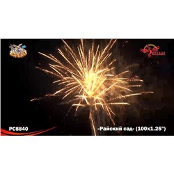Фейерверк РС8840 Райский сад (1,25" х 100)