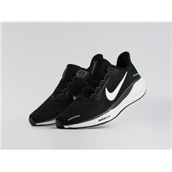 Кроссовки Nike Air Zoom Pegasus 41
