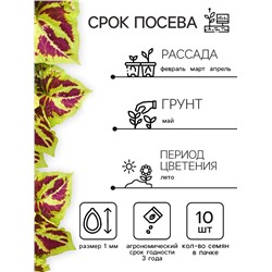 Семена цветов Колеус «Визард», мозаика, «Семена Алтая», цветной пакет, 5 шт.