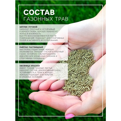 Газонная травосмесь «Низкорослая», 1 кг