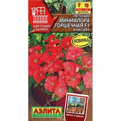 Петуния Минифлора Горшечная КРАСНАЯ