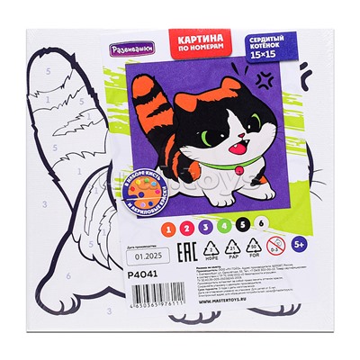 Картина по номерам "Сердитый котёнок" 15х15