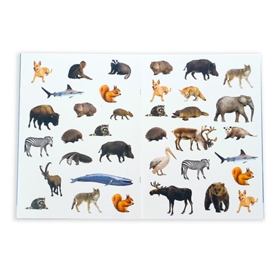 Наклейки «Мои первые энциклопедии», набор 4 шт. по 8 стр., А4